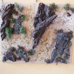 Moss & Bark Original Artwork